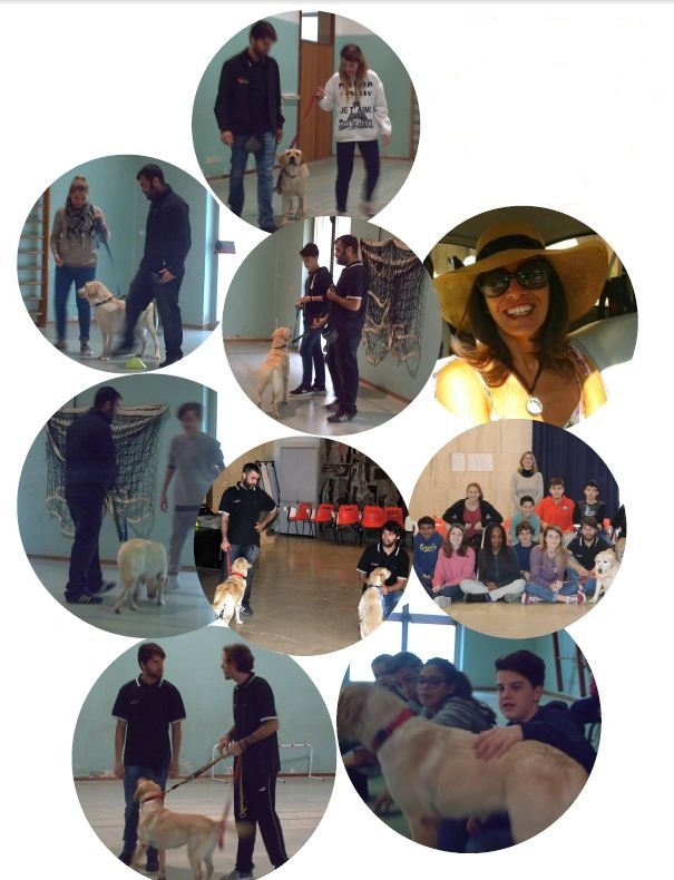 “Un cane a scuola”: grande successo del progetto di San Patrignano che porta i quattro zampe in classe per educare alla responsabilità